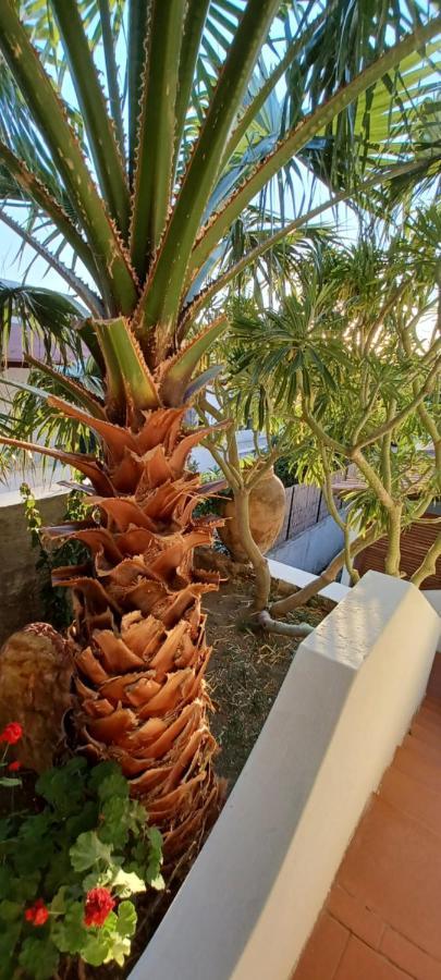 La Casa Al Mare Vulcano ヴルカーノ エクステリア 写真