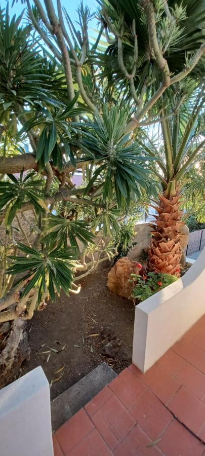 La Casa Al Mare Vulcano ヴルカーノ エクステリア 写真